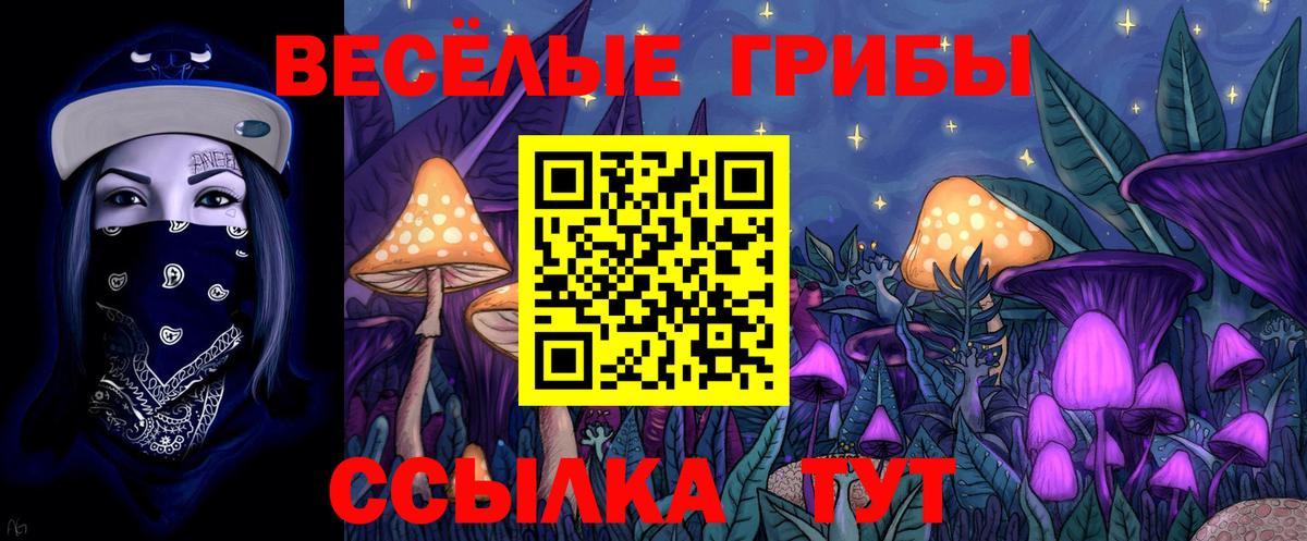 Псилоцибиновые грибы прущие грибы  Галлюциногенные грибы MAGIC MUSHROOMS  Кострома  Вход с VPN 