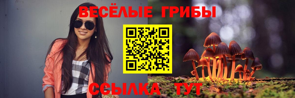 Псилоцибиновые грибы мухоморы Кострома